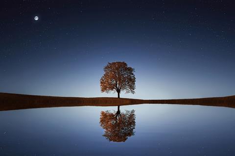Reflection ESG tree