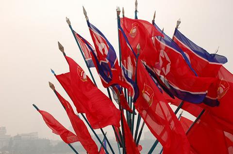 North Korea flags