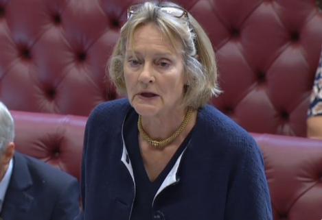 Baroness Peta Buscombe, House of Lords
